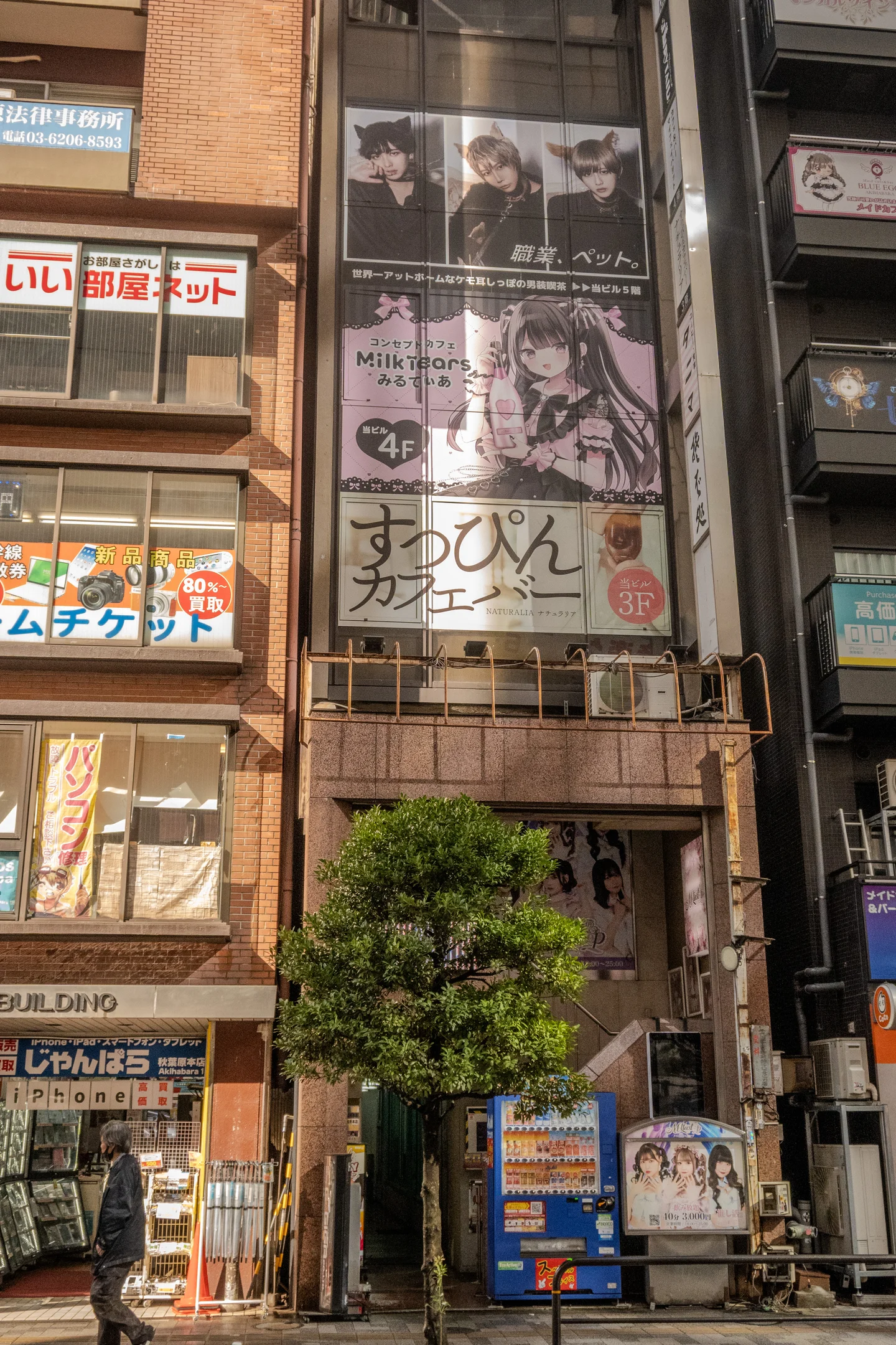 Akihabara Male Maid Cafe