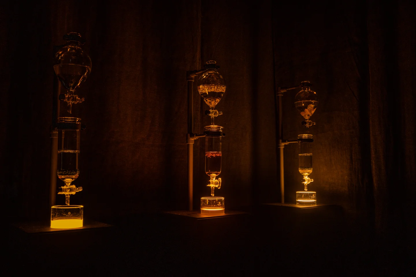 Immersive Tea Time Waiting Room