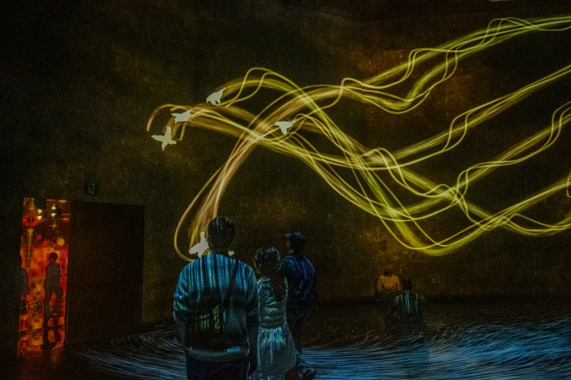 Bird projections on the wall leading towards the exit