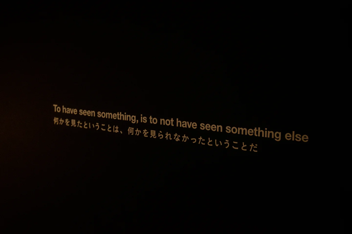 To have seen something, is to not have seen something else