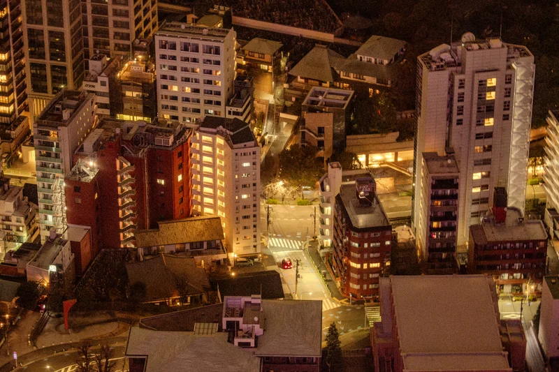 Tokyo Tower Residential View
