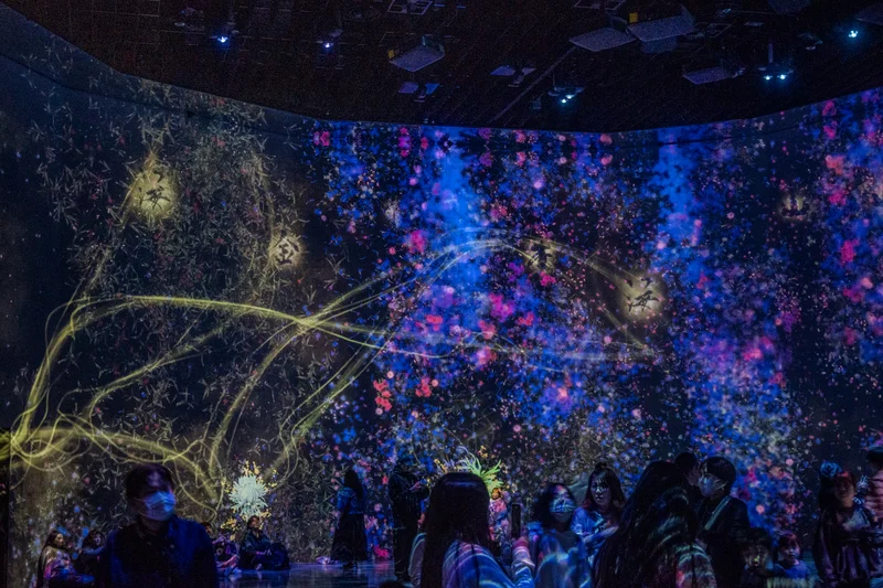 Video projections of flowers and light patterns on the wallets