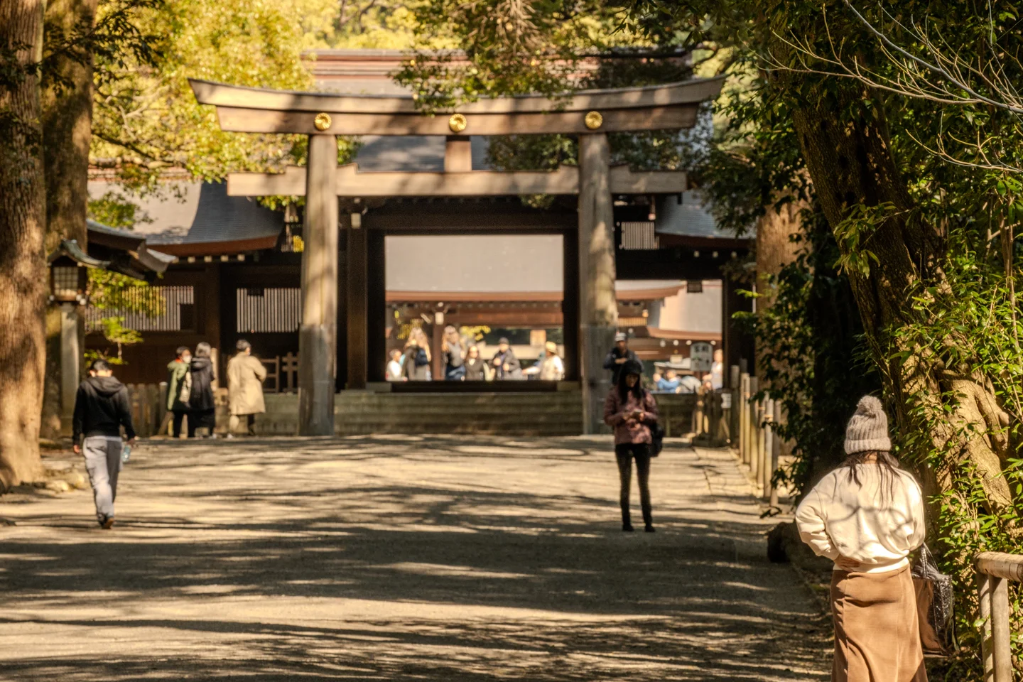 Meiji Shrine Torii Gate