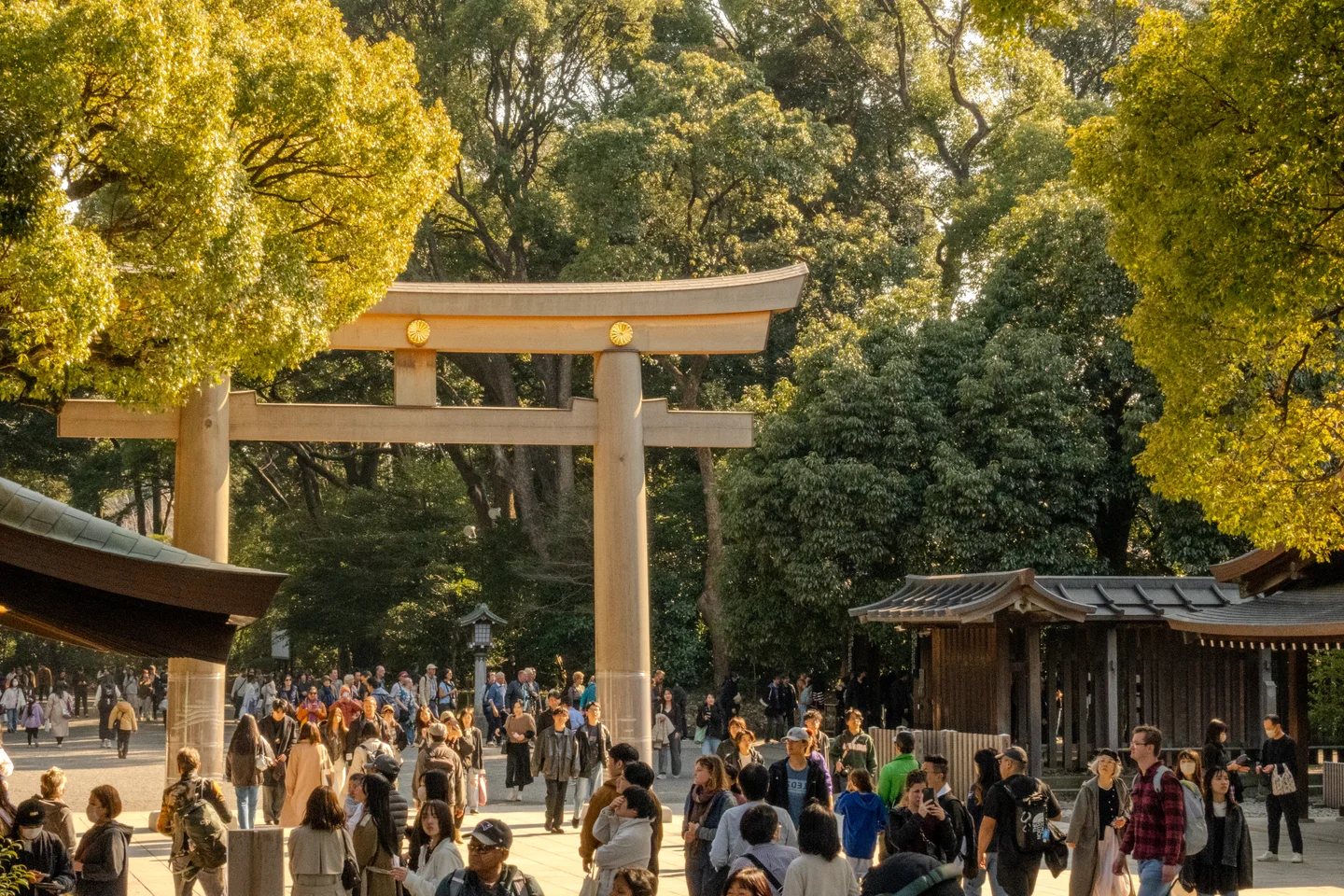 Exiting Meiji Shrine through Torii Gate