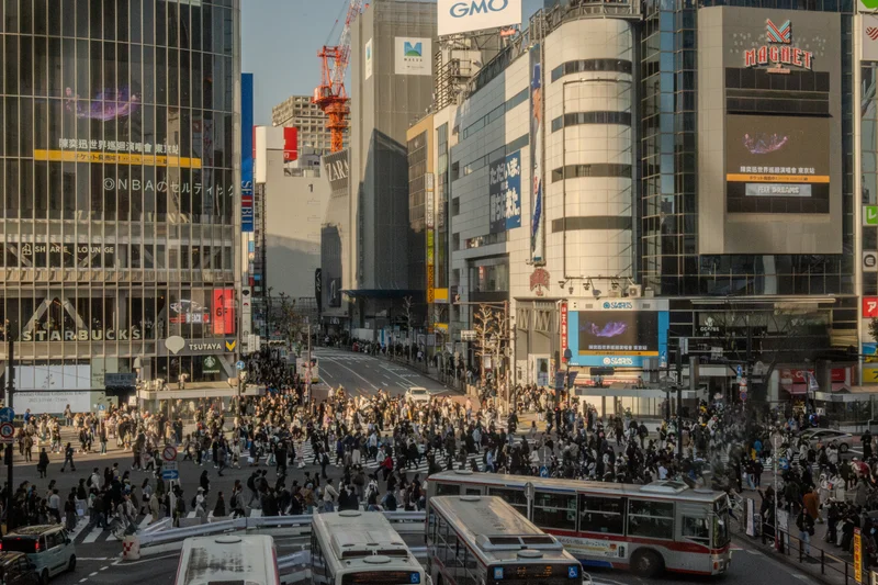 Shibuya Crossing from Street Level