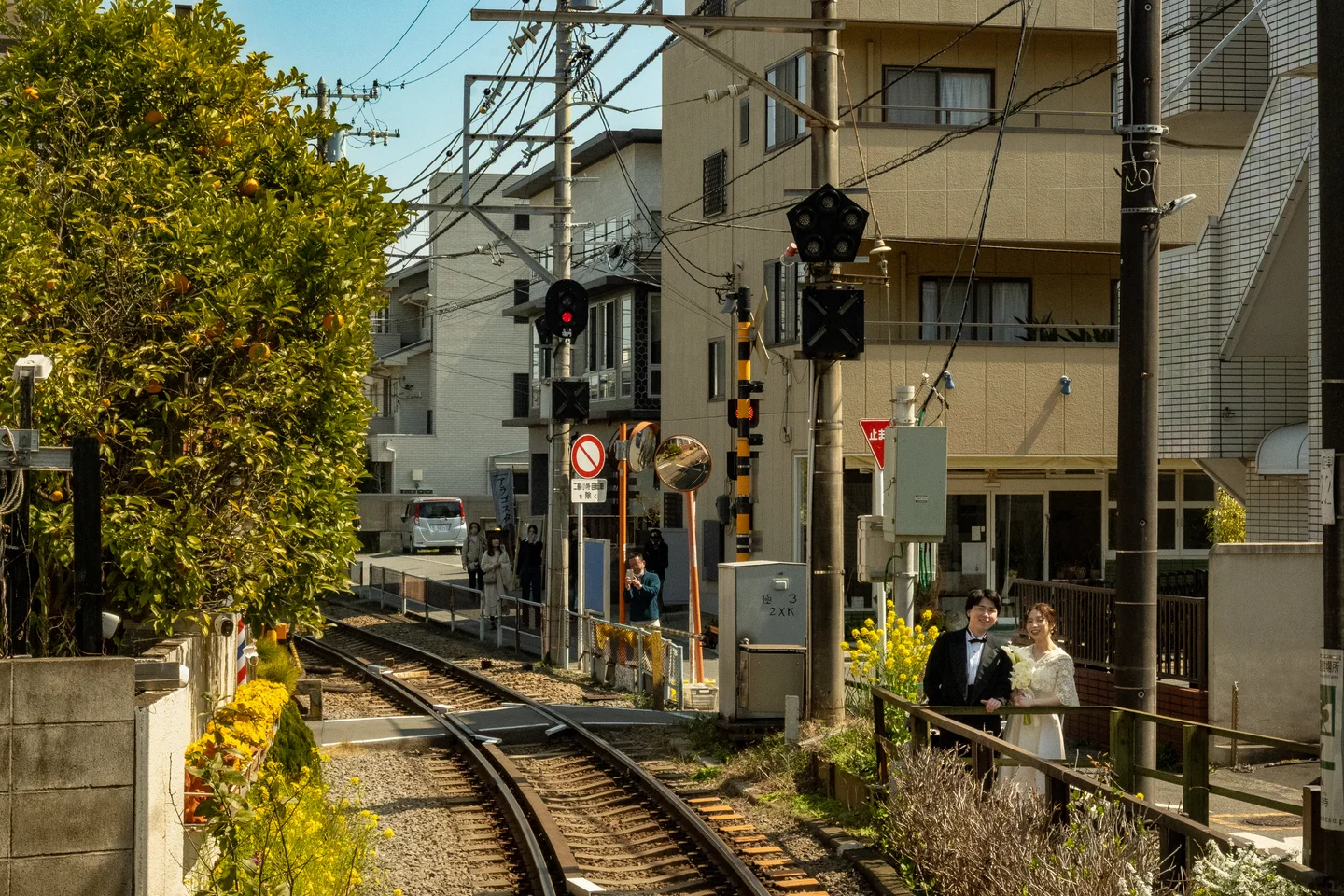 Enoden Train Rear View